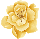 Gold Flower